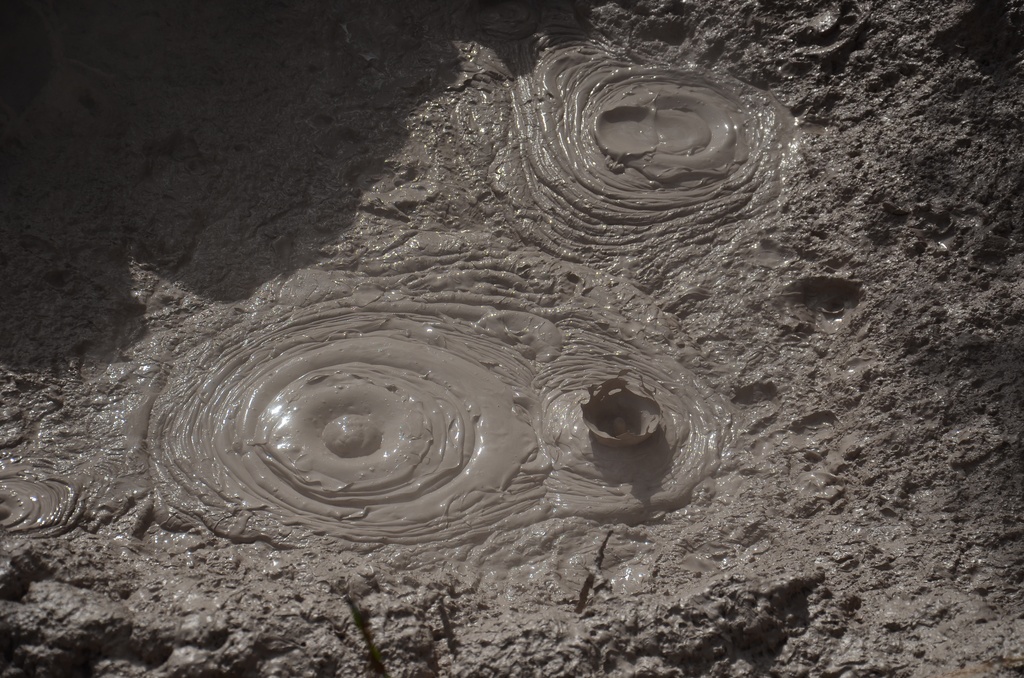 2017-03 New Zealand/Waiotapu/DSC_0231.JPG